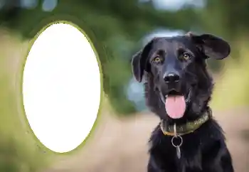 Fotografický efekt z kategorie Různé № 68649