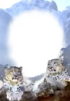 Fotografický efekt z kategorie Různé № 68679