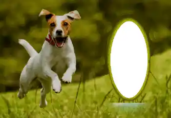 Fotografický efekt z kategorie Různé № 68744