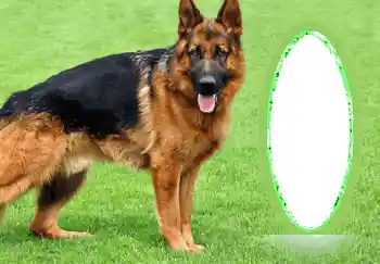 Fotografický efekt z kategorie Různé № 68745