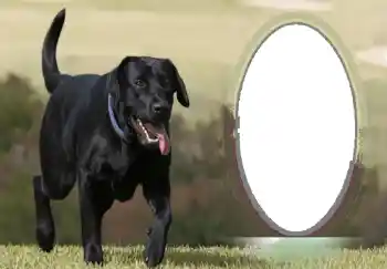 Fotografický efekt z kategorie Různé № 68746