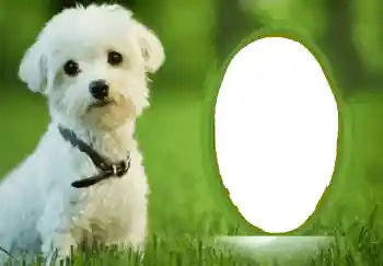 Fotografický efekt z kategorie Různé № 68748