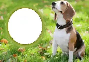 Fotografický efekt z kategorie Různé № 68749