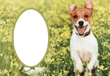 Fotografický efekt z kategorie Různé № 68750