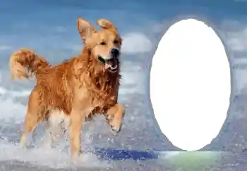 Fotografický efekt z kategorie Různé № 68751