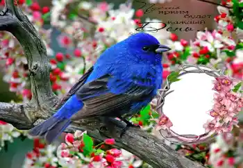 Nápis na rámečku: Пусть ярким будет каждый День...