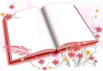 Fotografický efekt z kategorie Různé № 72457