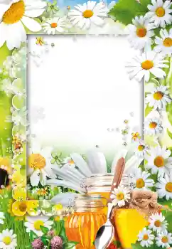 Fotografický efekt z kategorie Různé № 73499