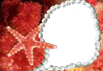 Fotografický efekt z kategorie Různé № 80293