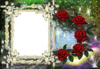 Fotografický efekt z kategorie Různé № 80386