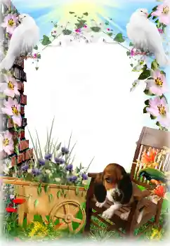 Fotografický efekt z kategorie Různé № 81633