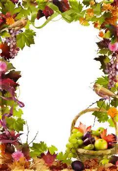 Fotografický efekt z kategorie Různé № 81650