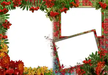 Fotografický efekt z kategorie Různé № 83986