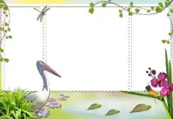 Fotografický efekt z kategorie Různé № 84103