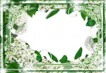 Fotografický efekt z kategorie Různé № 85233