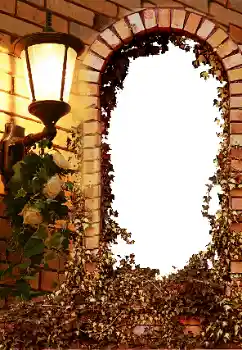 Fotografický efekt z kategorie Různé № 8595