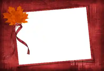 Fotografický efekt z kategorie Různé № 86582