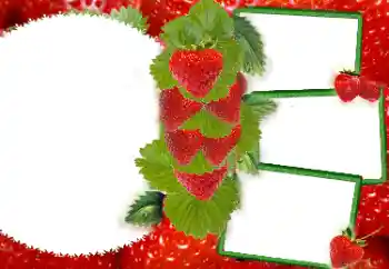 Fotografický efekt z kategorie Různé № 8738