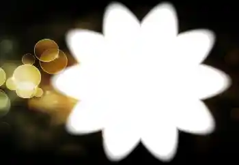 Fotografický efekt z kategorie Různé № 88034