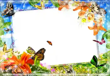 Fotografický efekt z kategorie Různé № 89452