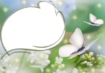 Fotografický efekt z kategorie Různé № 90527