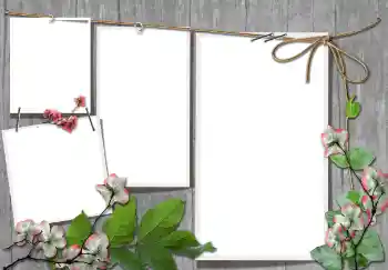 Fotografický efekt z kategorie Různé № 91740