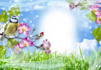 Fotografický efekt z kategorie Různé № 91774