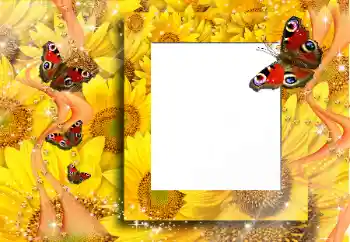 Fotografický efekt z kategorie Různé № 91829