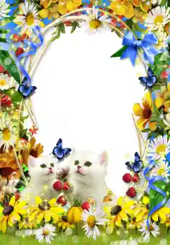 Fotografický efekt z kategorie Různé № 93351