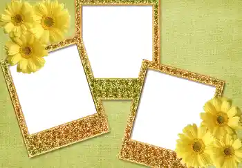 Fotografický efekt z kategorie Různé № 93371