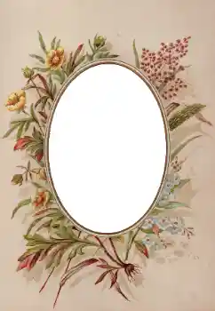 Fotografický efekt z kategorie Různé № 93398