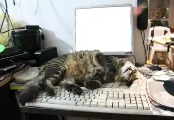 Fotografický efekt z kategorie Různé № 93455