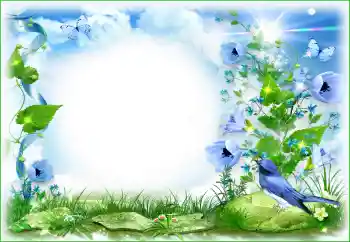 Fotografický efekt z kategorie Různé № 94495