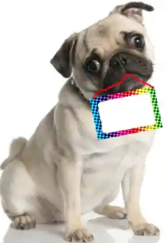 Fotografický efekt z kategorie Různé № 99781