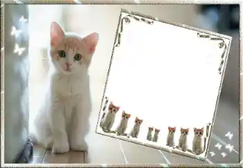 Fotografický efekt z kategorie Různé № 99811