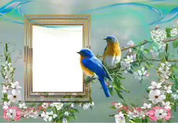 Fotografický efekt z kategorie Různé № 99895