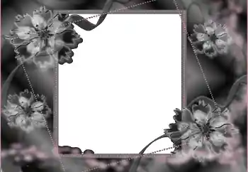 Fotografický efekt z kategorie Smuteční vazba № 114453