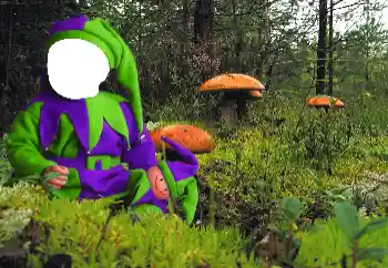 Fotografický efekt z kategorie Pro děti № 90549