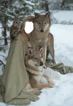 Fotografický efekt z kategorie Pro ženy № 129849