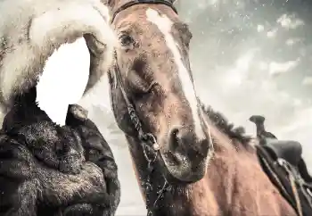 Fotografický efekt z kategorie Pro ženy № 38493