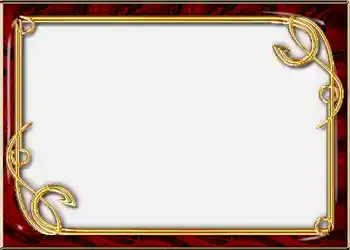 Fotografický efekt z kategorie Album č. 2 № 852