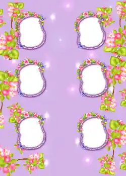 Fotografický efekt z kategorie Album č. 3 № 855