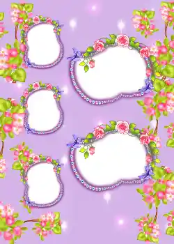 Fotografický efekt z kategorie Album č. 3 № 858