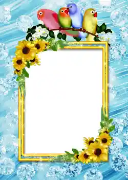 Fotografický efekt z kategorie Album č. 4 № 860