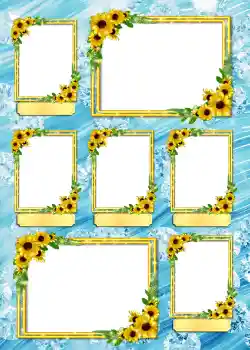 Fotografický efekt z kategorie Album č. 4 № 862