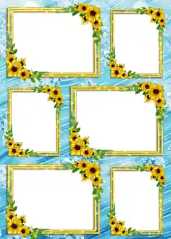 Fotografický efekt z kategorie Album č. 4 № 904