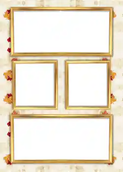 Fotografický efekt z kategorie Album č. 6 № 926