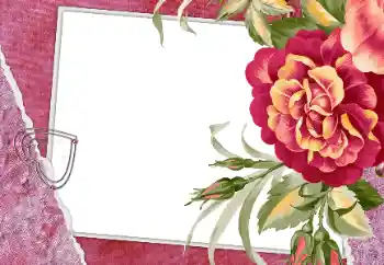 Fotografický efekt z kategorie Rámečky pro zamilované № 112250