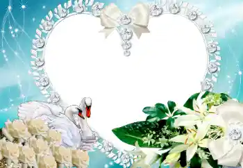 Fotografický efekt z kategorie Rámečky pro zamilované № 117218