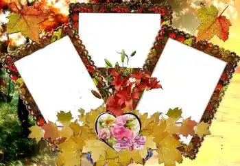 Fotografický efekt z kategorie Rámečky pro zamilované № 124326